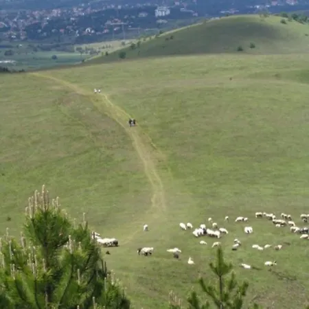 Planinska Kuca Lunjo & Vuk Zlatibor