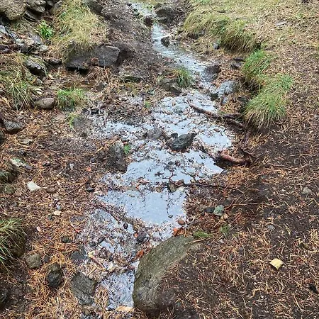 Planinska Kuca Lunjo & Vuk *