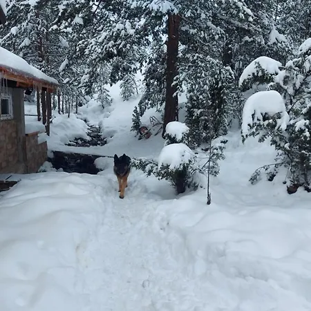 Planinska Kuca Lunjo & Vuk Vikendica