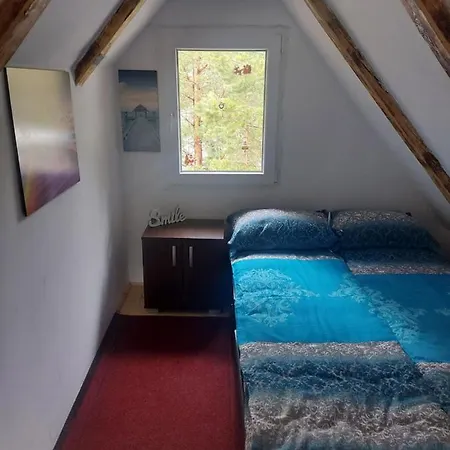 Planinska Kuca Lunjo & Vuk Сasa de vacaciones Zlatibor