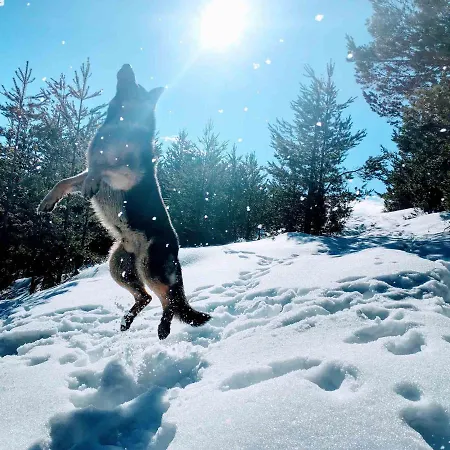 Planinska Kuca Lunjo & Vuk
