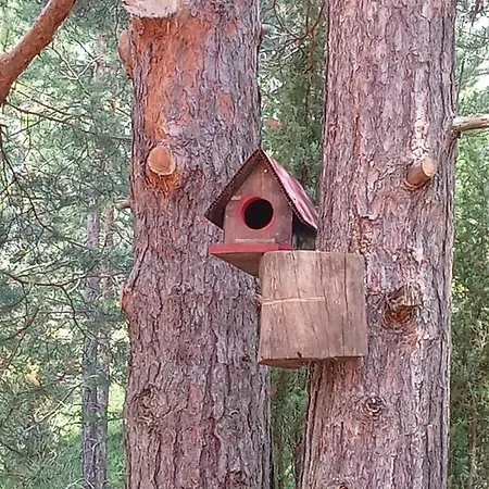 Planinska Kuca Lunjo & Vuk Дом отдыха *