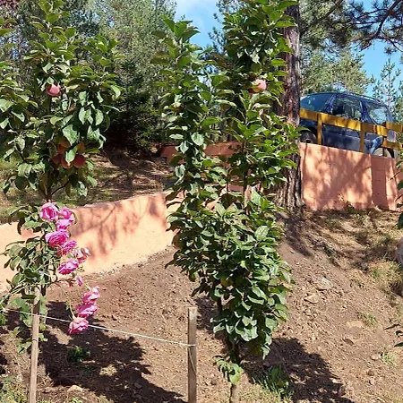 Vikendica Planinska Kuca Lunjo & Vuk Zlatibor