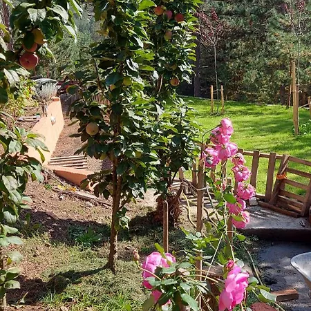 Planinska Kuca Lunjo & Vuk Vikendica *