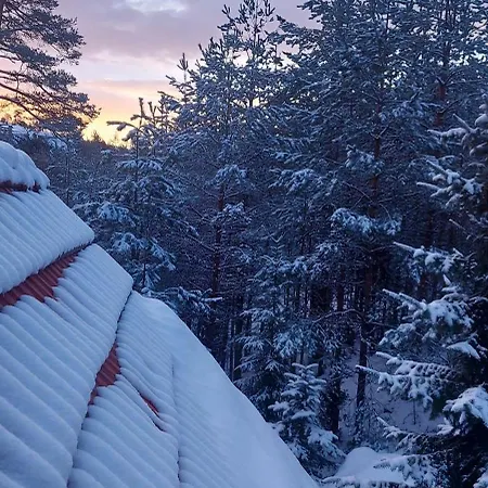 Дом отдыха Planinska Kuca Lunjo & Vuk *