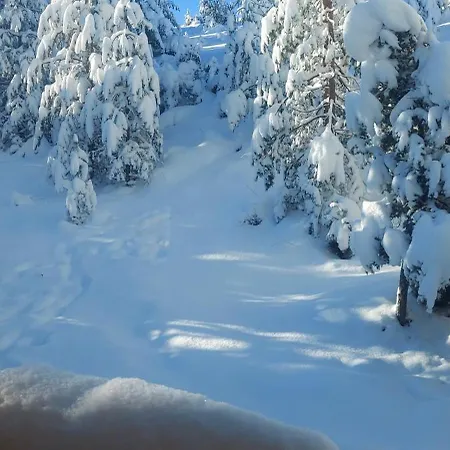 Vikendica Planinska Kuca Lunjo & Vuk Zlatibor