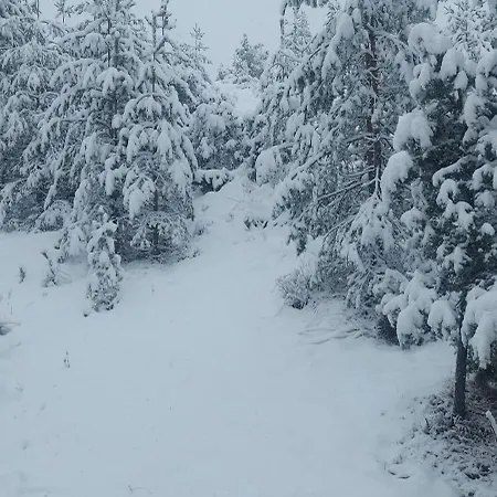 Vikendica Planinska Kuca Lunjo & Vuk Zlatibor