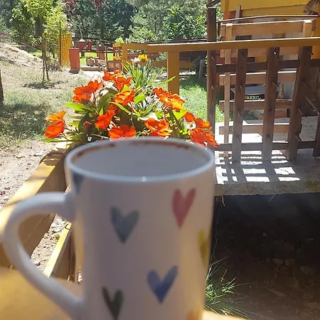 Planinska Kuca Lunjo & Vuk Zlatibor