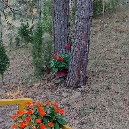 Planinska Kuca Lunjo & Vuk Сasa de vacaciones Zlatibor