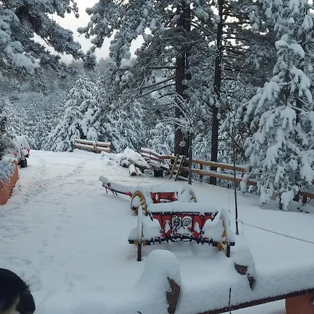 Planinska Kuca Lunjo & Vuk Vikendica Zlatibor