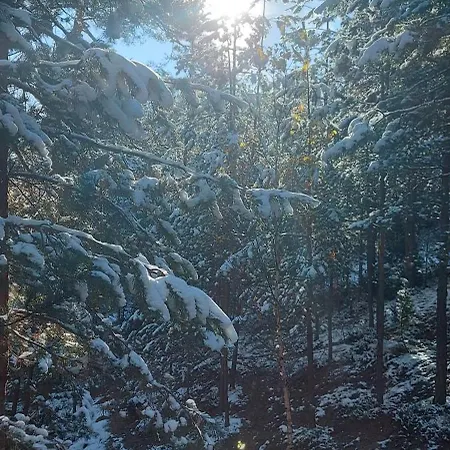 Planinska Kuca Lunjo & Vuk * Zlatibor
