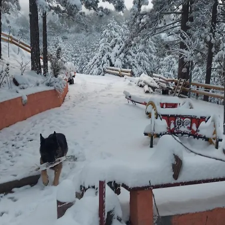 Planinska Kuca Lunjo & Vuk Дом отдыха *