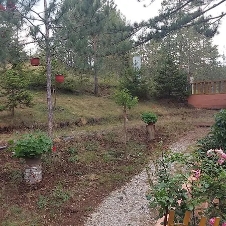 Дом отдыха Planinska Kuca Lunjo & Vuk Златибор