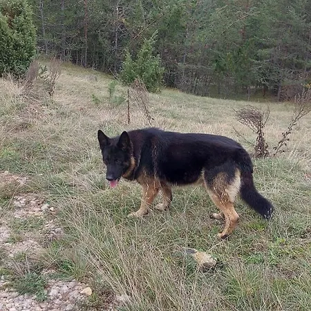 Planinska Kuca Lunjo & Vuk