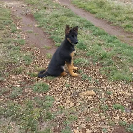 Planinska Kuca Lunjo & Vuk Vikendica