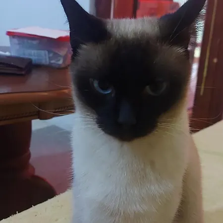 Planinska Kuca Lunjo & Vuk Vikendica *