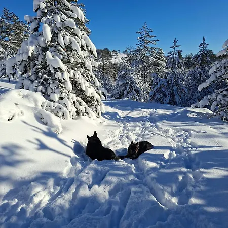 Дом отдыха Planinska Kuca Lunjo & Vuk