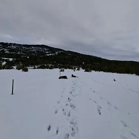 Planinska Kuca Lunjo & Vuk Дом отдыха *