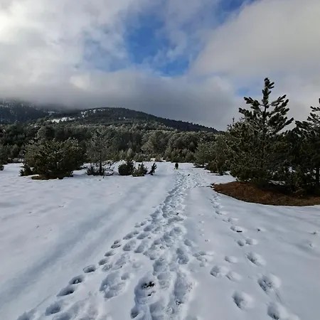 Planinska Kuca Lunjo & Vuk Дом отдыха *