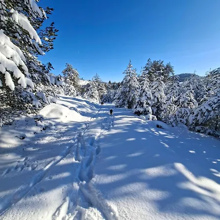 Дом отдыха Planinska Kuca Lunjo & Vuk *