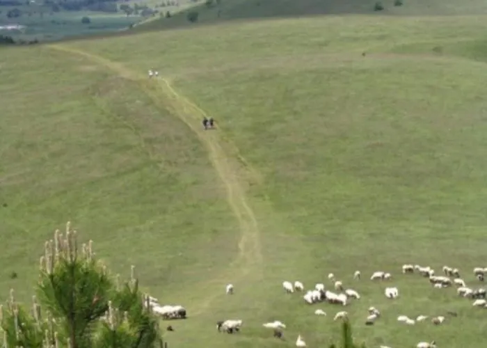 Planinska Kuca Lunjo & Vuk 즐라티보