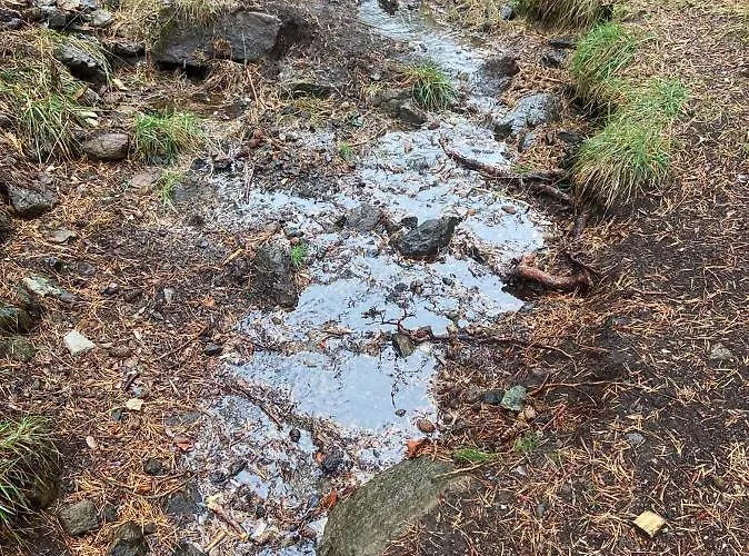 Planinska Kuca Lunjo & Vuk *