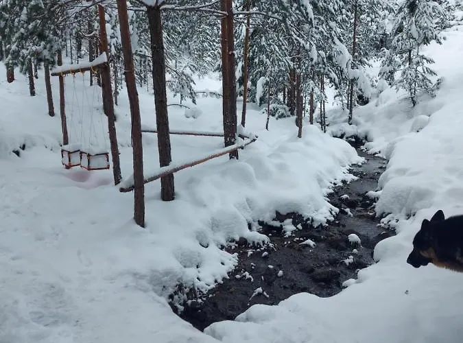 Planinska Kuca Lunjo & Vuk 펜션