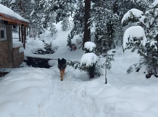 Planinska Kuca Lunjo & Vuk 펜션