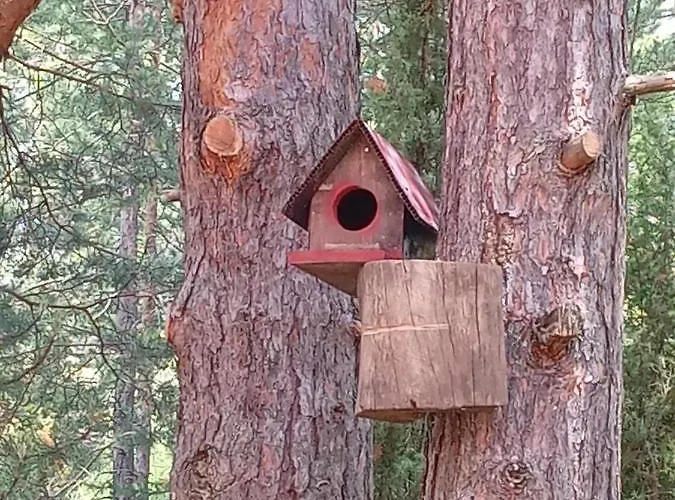 Planinska Kuca Lunjo & Vuk 펜션 *