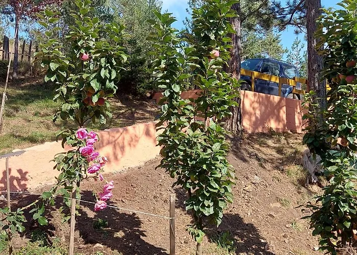 펜션 Planinska Kuca Lunjo & Vuk 즐라티보