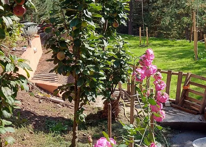 Planinska Kuca Lunjo & Vuk 펜션 *