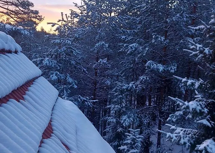 펜션 Planinska Kuca Lunjo & Vuk *