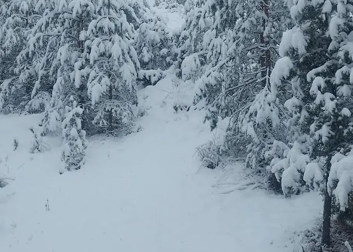 펜션 Planinska Kuca Lunjo & Vuk 즐라티보
