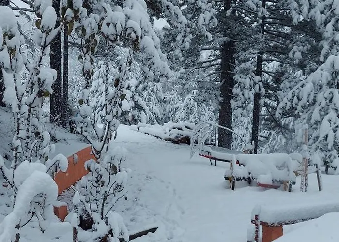 Planinska Kuca Lunjo & Vuk 펜션