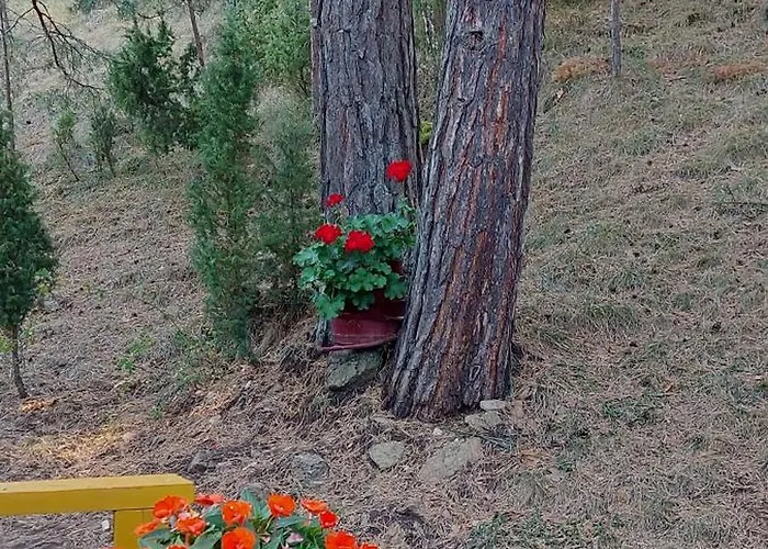 Planinska Kuca Lunjo & Vuk 펜션 즐라티보