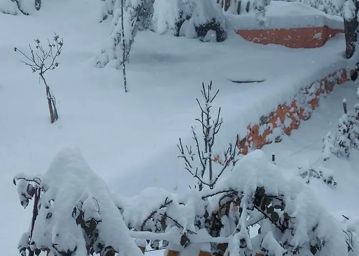 펜션 Planinska Kuca Lunjo & Vuk 즐라티보