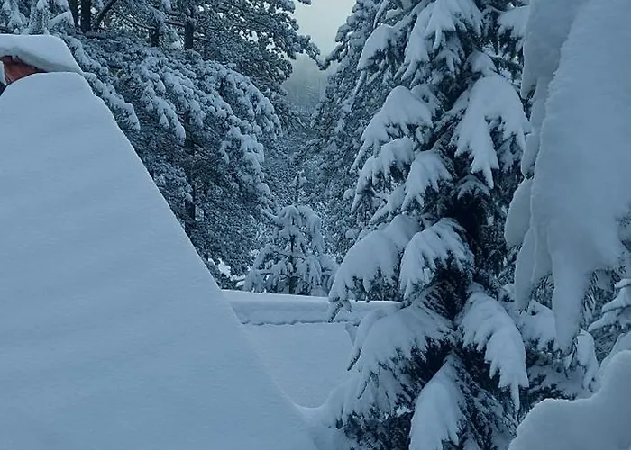 Planinska Kuca Lunjo & Vuk 펜션 즐라티보