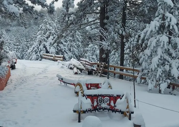 Planinska Kuca Lunjo & Vuk 펜션 즐라티보