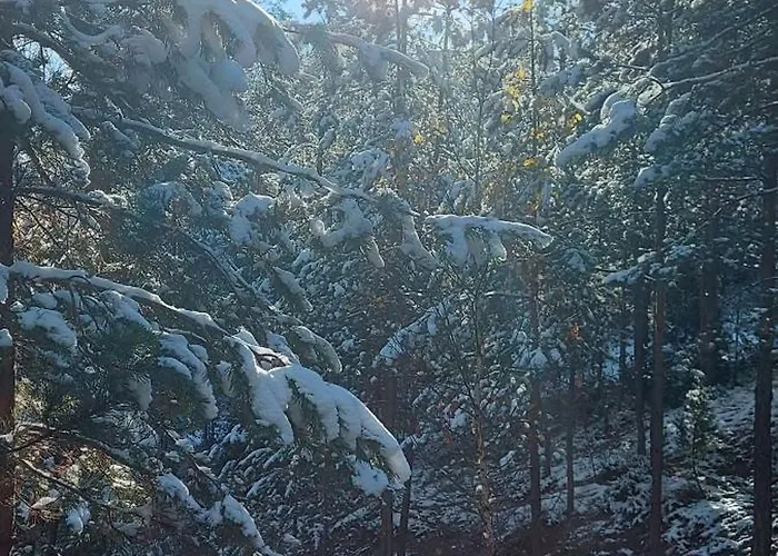 Planinska Kuca Lunjo & Vuk * 즐라티보