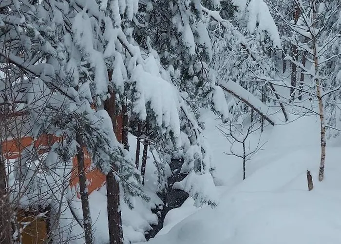 Planinska Kuca Lunjo & Vuk