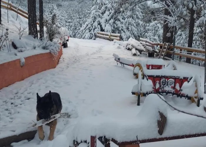 Planinska Kuca Lunjo & Vuk 펜션 *