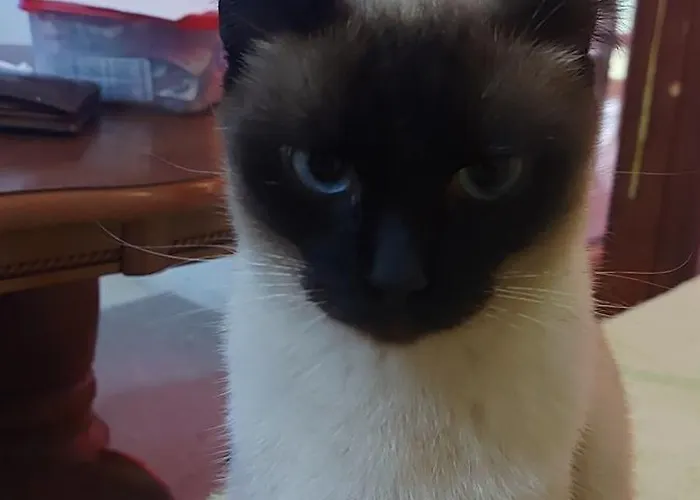 Planinska Kuca Lunjo & Vuk 펜션 *