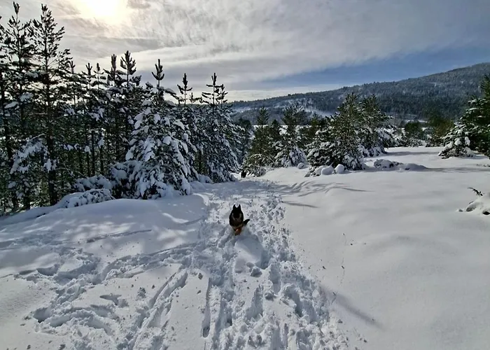 Planinska Kuca Lunjo & Vuk *