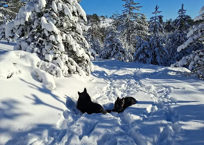 펜션 Planinska Kuca Lunjo & Vuk