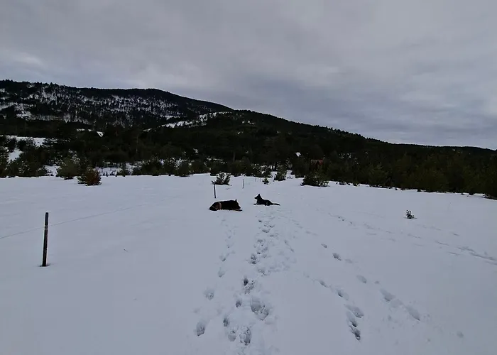 Planinska Kuca Lunjo & Vuk 펜션 *