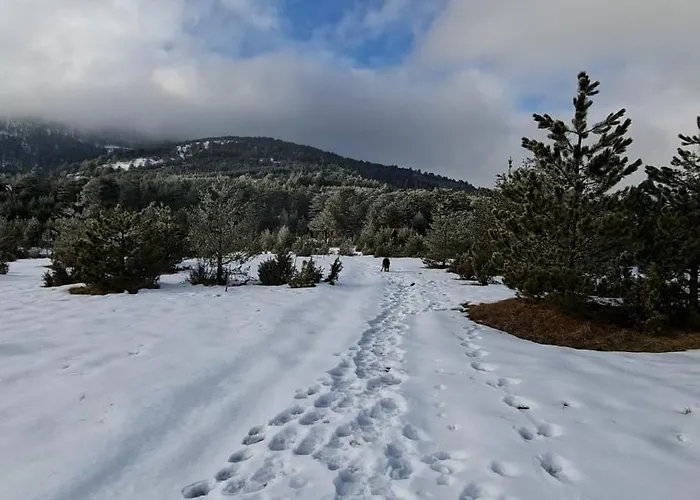 Planinska Kuca Lunjo & Vuk 펜션 *