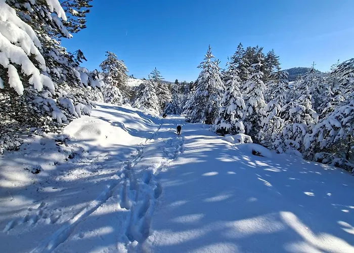 펜션 Planinska Kuca Lunjo & Vuk *